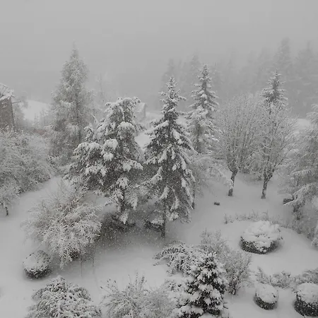 Auronzo - Outdoor Basecamp