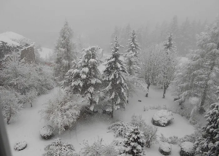 Auronzo - Outdoor Basecamp